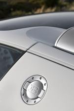 Bugatti Veyron 16.4 Grand Sport 2009 года
